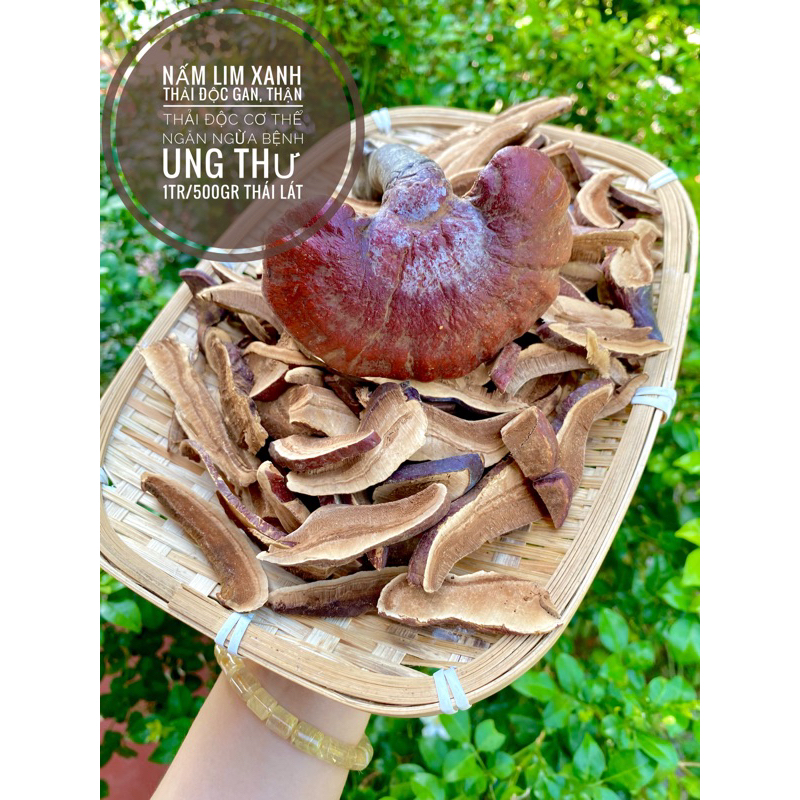 Nấm lim xanh tự nhiên