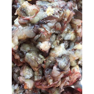 TÔM SÚ VỤN GẪY