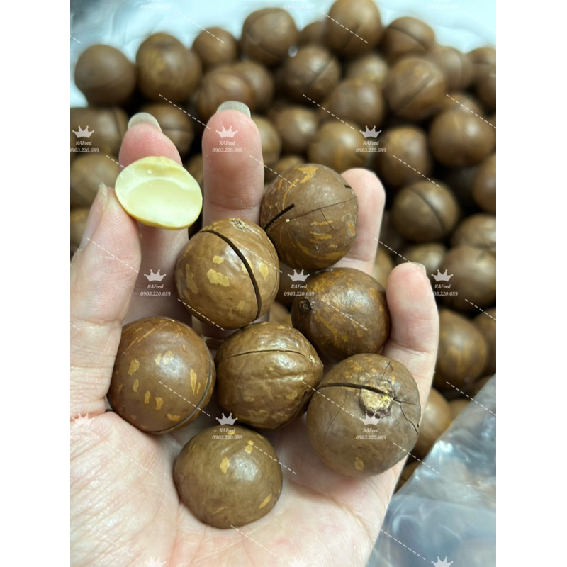 Macca sấy mật ong