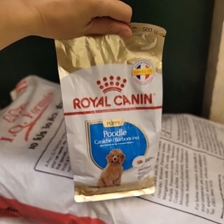 hàng cao cấp Thức ăn cho chó Royal Canin Poodle Puppy gói 500g