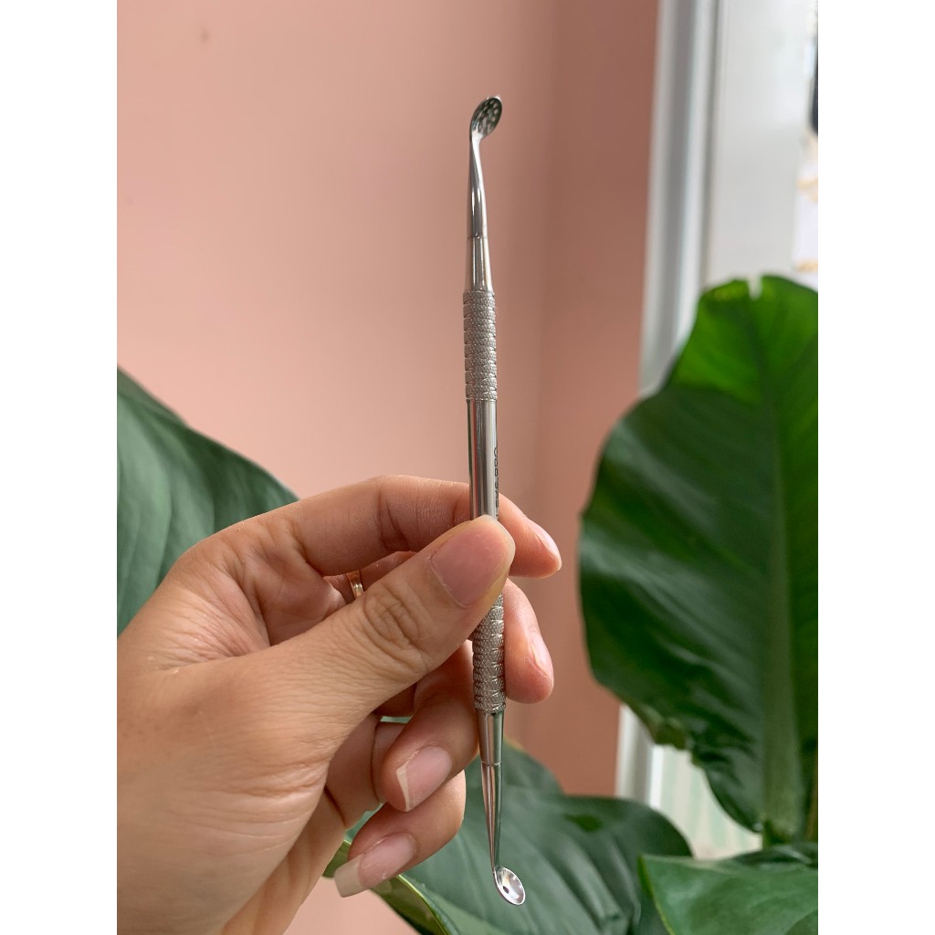 Cây Cà Mụn Châu Âu