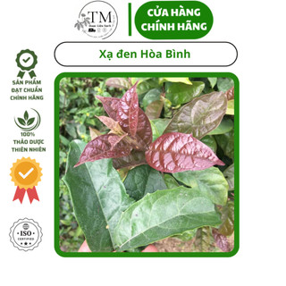 Xạ đen Hòa Bình Thải Độc Gan Thận Giảm Nguy Cơ Ung Bướu(Gói 01 kg)