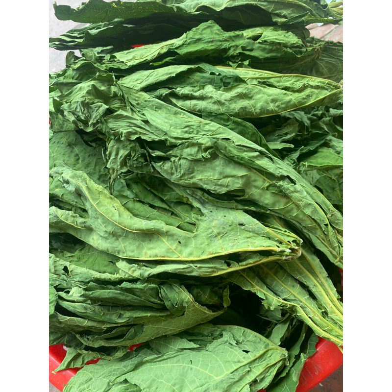 1kg Lá đu đủ đực sấy khô loại 1, ngừa ung thư, tốt cho tiêu hóa, ổn định đường huyết