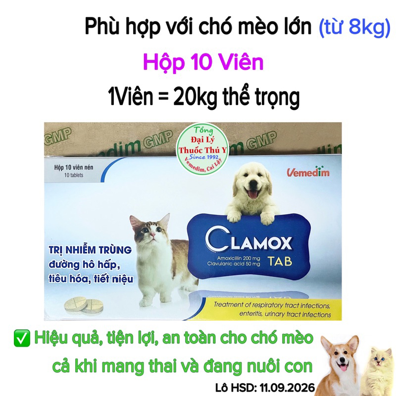 CLAMOX dùng cho chó mèo bị nhiễm trùng hô hấp, tiêu hoá, tiết niệu, da