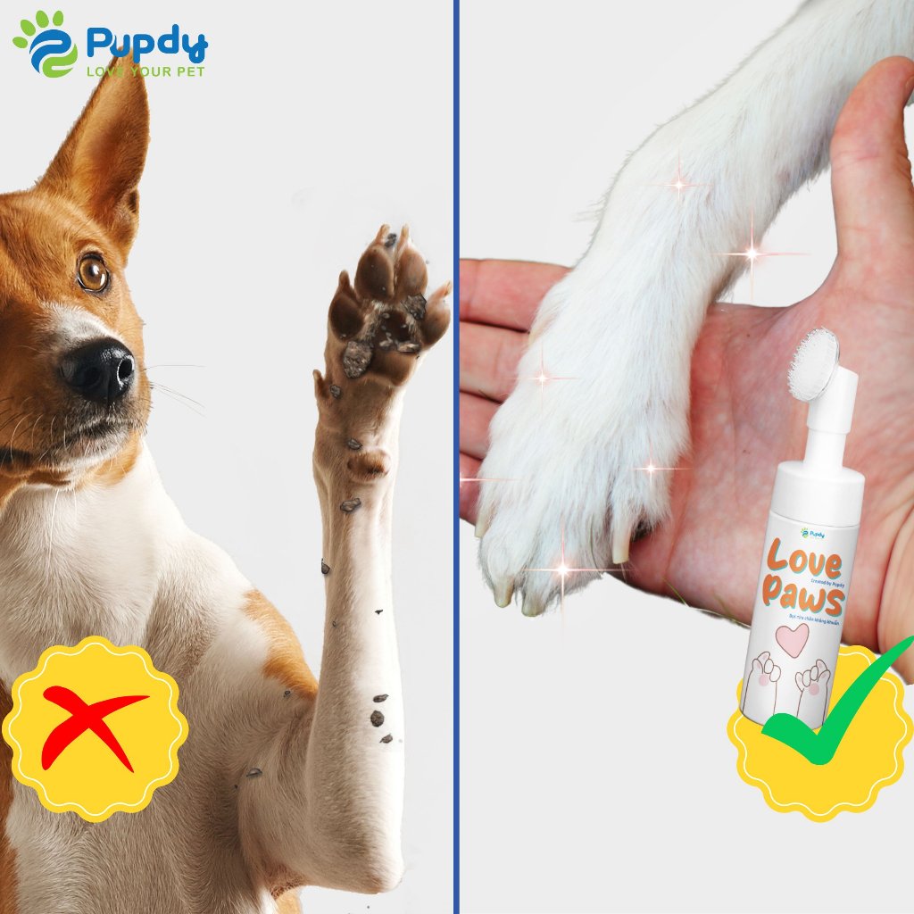 Bọt Khử Khuẩn Chân Thú Cưng Love Paws - Pupdy chính hãng