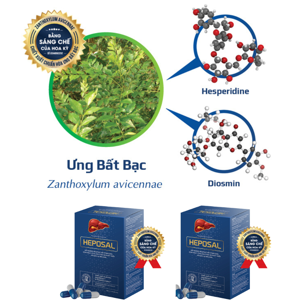 ✔ Heposal Thải Độc Gan Silymarin Tăng Cường Chức Năng Gan Hộp 30 Viên