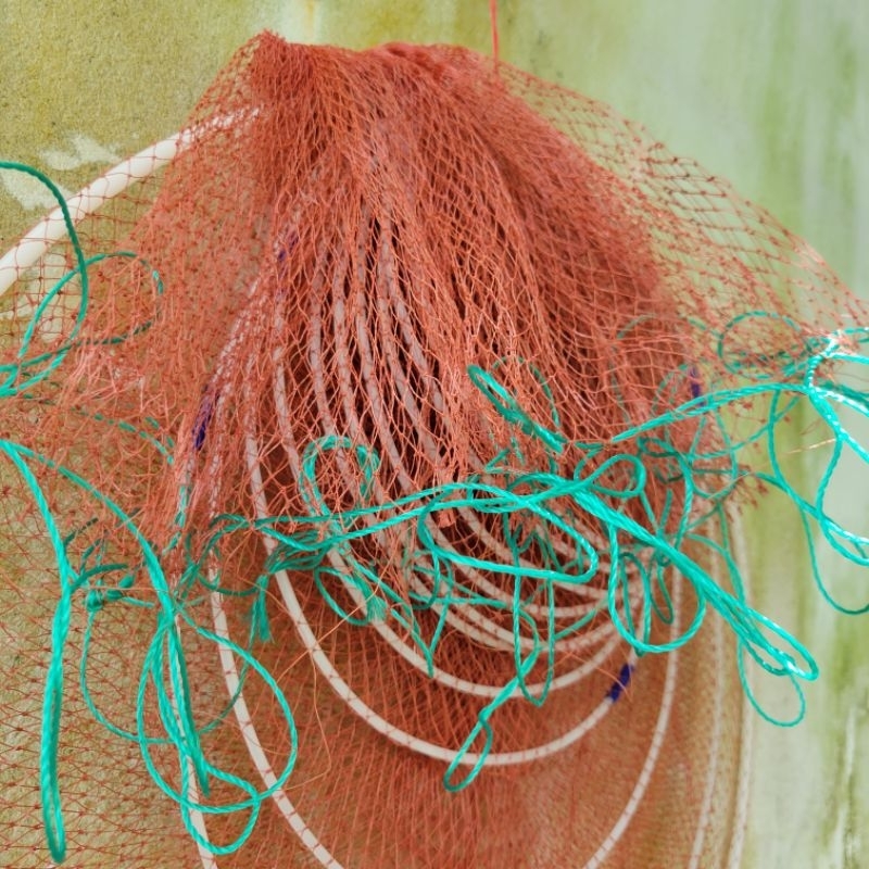 , 11 VÀNH, 2×1×3 mét, Chỉ 6 đỏ,Chuyên đặt Cá, Tôm