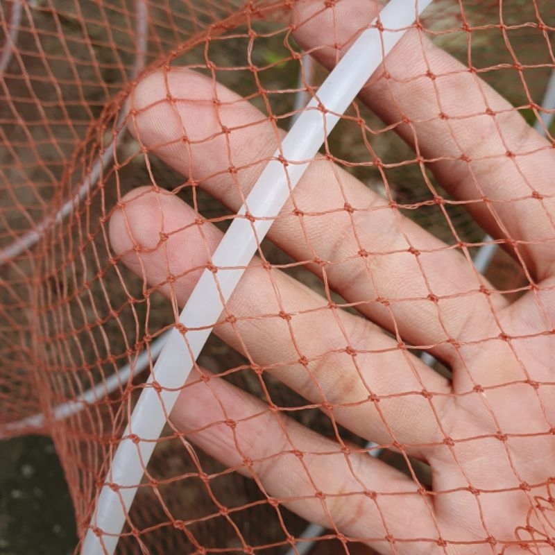 , 11 VÀNH, 2×1×3 mét, Chỉ 6 đỏ,Chuyên đặt Cá, Tôm