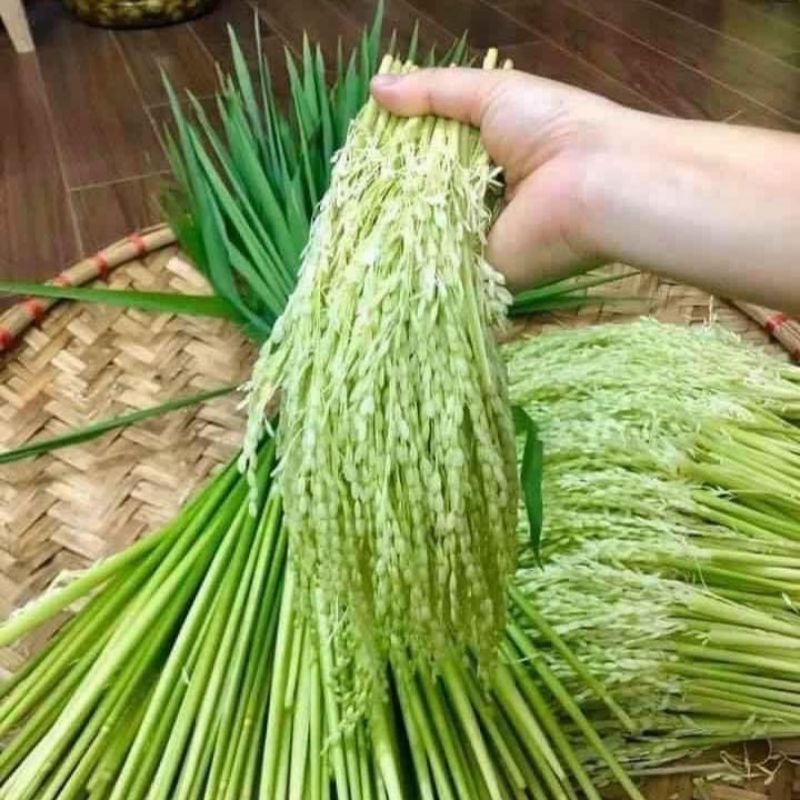 Đòng Đòng nếp Điện Biên 1kg hút chân không