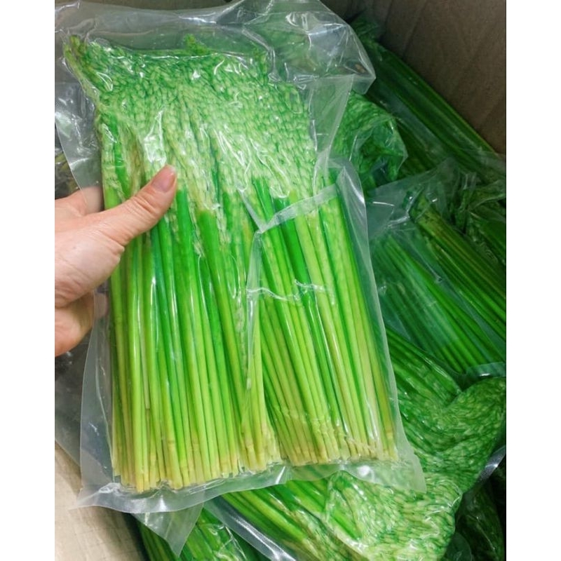 Đòng Đòng nếp Điện Biên 1kg hút chân không
