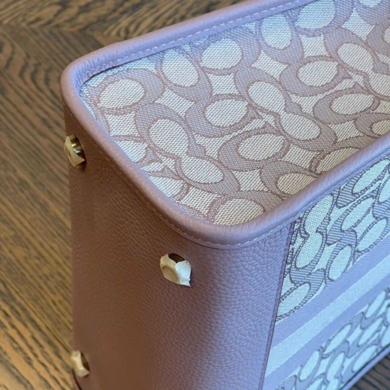 Túi Coach Dempsey Tote 22