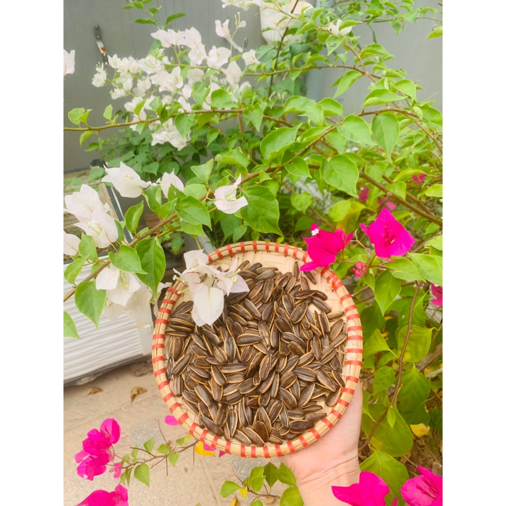 COMBO Tùy Chọn - Hạt Hướng Dương 3 Vị Tự Nhiên, Dừa, Óc Chó Gói 55G - HULA FOOD