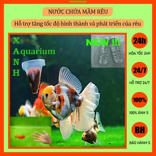 Nước chứa mầm rêu, kích rêu hồ cá cảnh