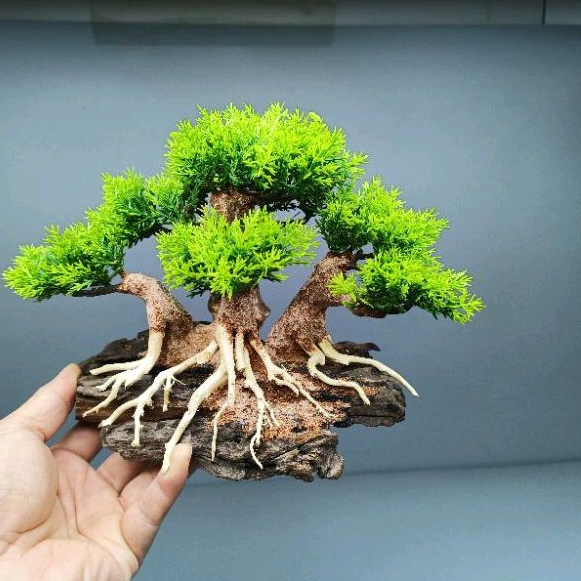 Cây gỗ lũa Bonsai cho bể cá cảnh dưới 60 cm. có nhiều màu