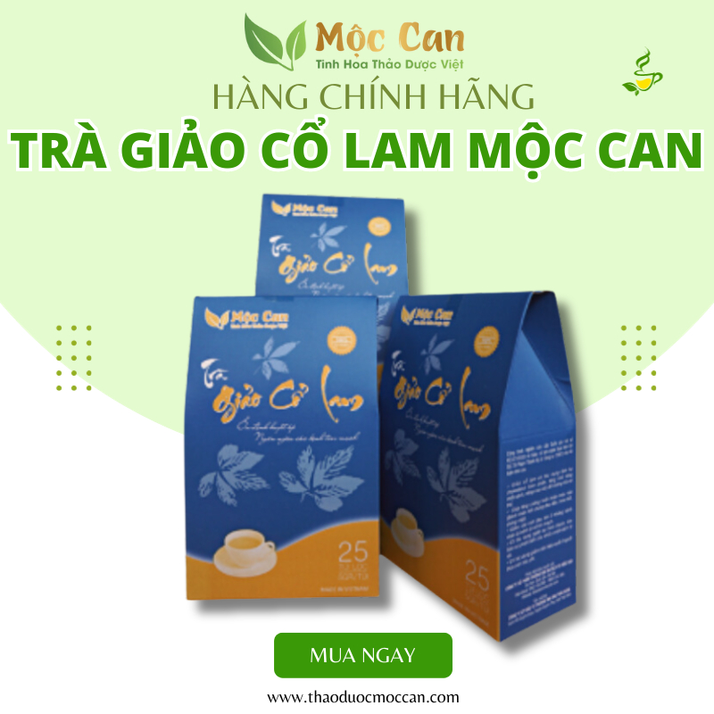 (Mua 10 tặng 1) Trà Giảo Cổ Lam Mộc Can, Ổn Định Huyết Áp, Giảm Mỡ Máu, Ngăn Ngừa Tai Biến 25 túi lọc