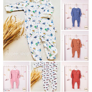 SLEEPSUIT/Body COOKIE, usagi DÀI TAY CÀI CHÉO LIỀN TAY LIỀN TẤT
