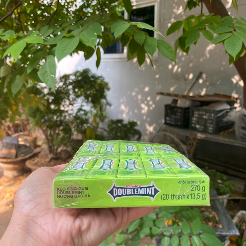 Kẹo Sing-gum, Doublemint hương bạc hà