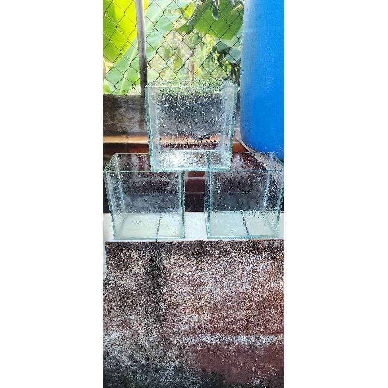 Thanh Lí Cực Rẻ Hồ Kính Nuôi Cá Kích Thước 15×15×15