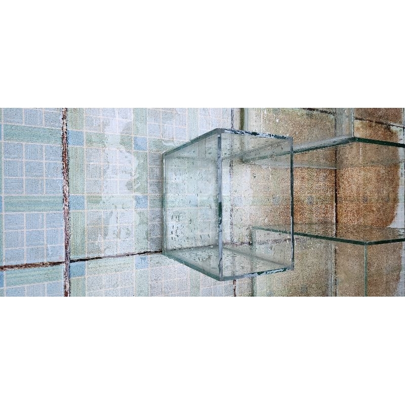 Thanh Lí Cực Rẻ Hồ Kính Nuôi Cá Kích Thước 15×15×15