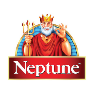 Hạt nêm Neptune 4 trong 1 850g