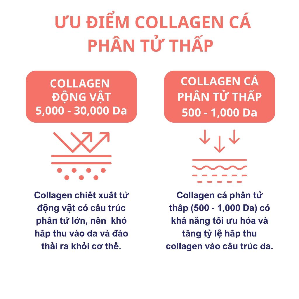 Nước Uống The Collagen 5500mg Hàm Lượng Cao Collagen Giúp Sáng Da, Mờ Nám, Căng Bóng, Chậm Lão Hóa 14 Lọ