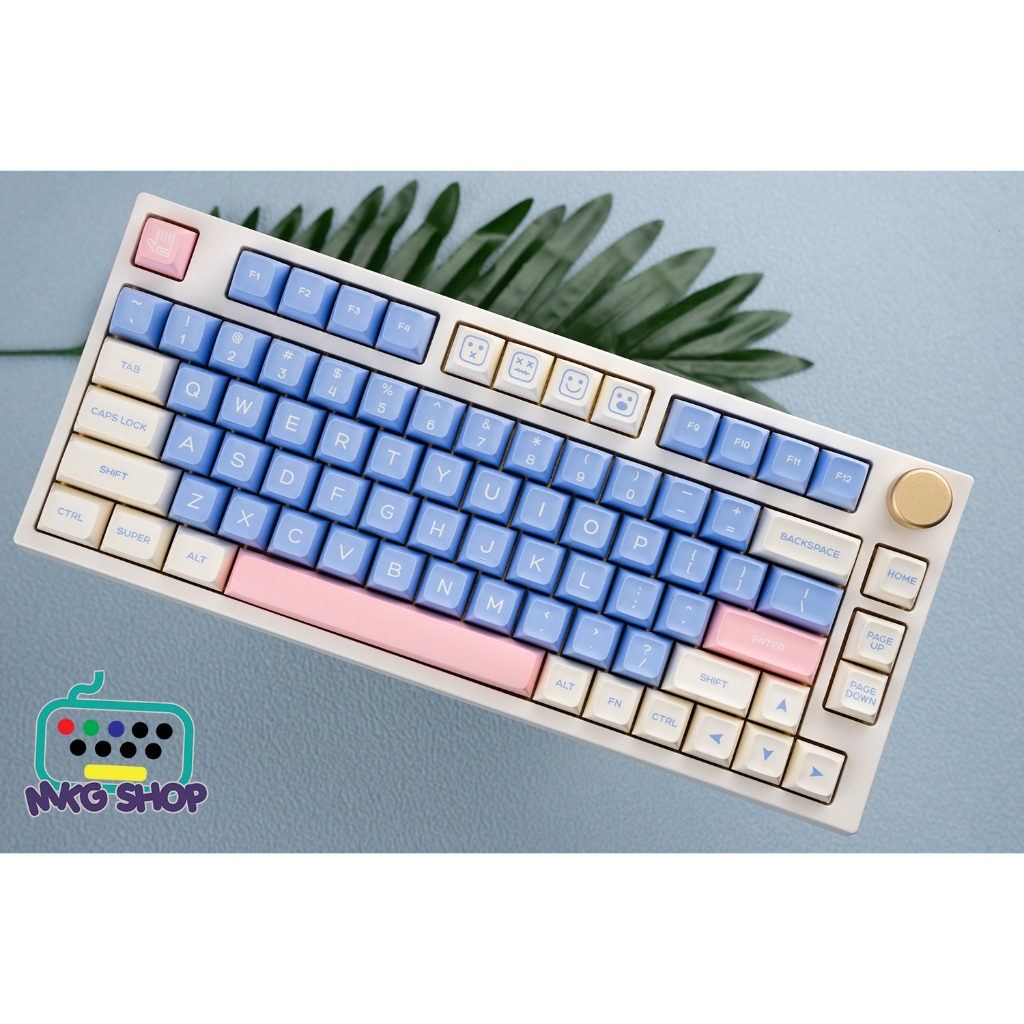 Keycap SA Gift kiểu in doubleshot, SA profile, 177 nút bàn phím cơ rẻ đẹp