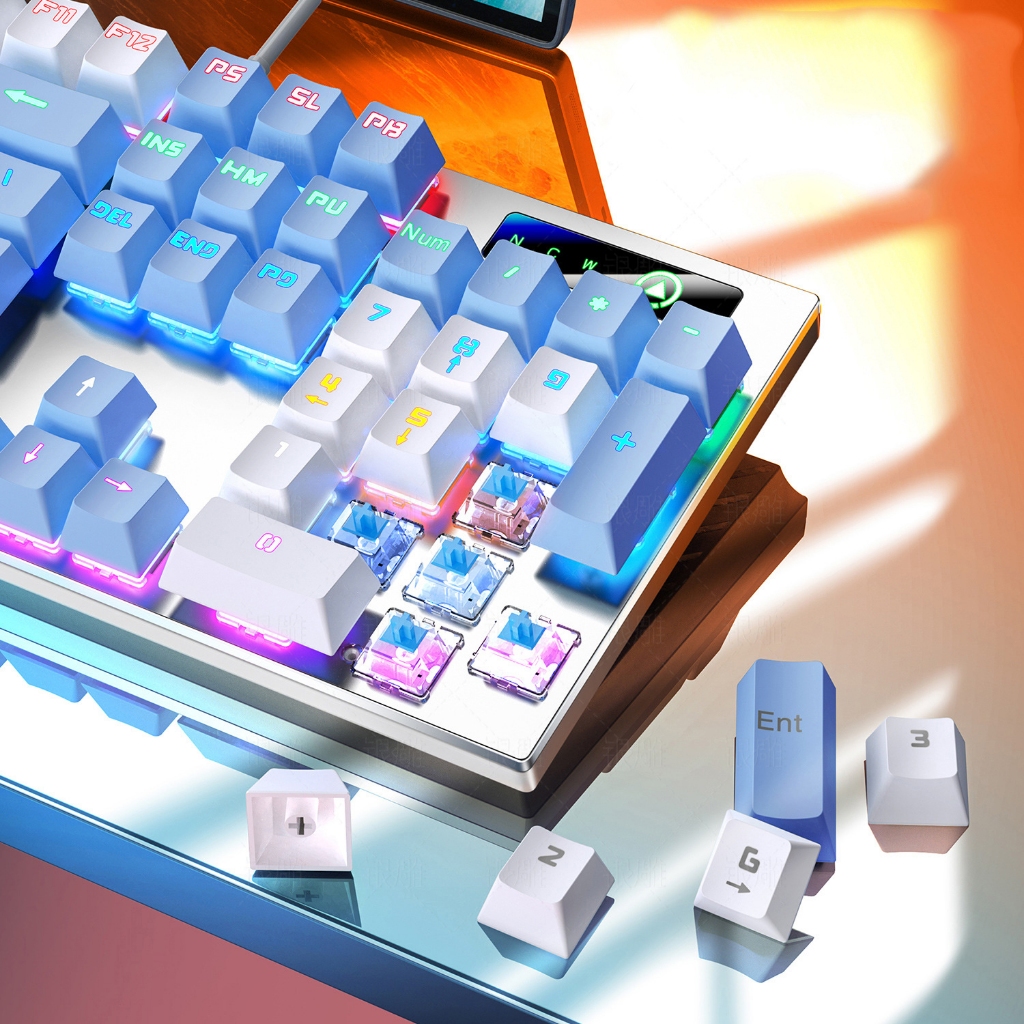 Bàn Phím Cơ SPEEDX Sử Dụng Blue Switch Và Red Switch Có HotSwap KeyBoard Layout TKL 87 63 104 Phím Leb RGB RainBow