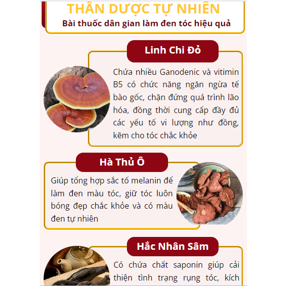 Linh chi đen tóc HERBAL - Serum HERBAL nấm linh chi phủ bạc kích đen tóc, nuôi tóc đen dày an toàn, phủ đen tóc tự nhiên