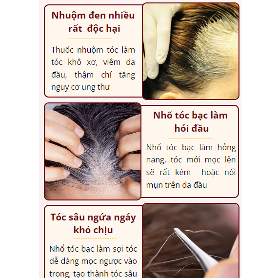 Linh chi đen tóc HERBAL - Serum HERBAL nấm linh chi phủ bạc kích đen tóc, nuôi tóc đen dày an toàn, phủ đen tóc tự nhiên