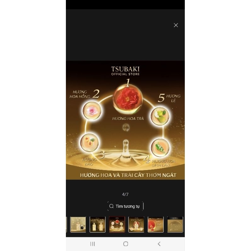 Dầu , xả tsubaki