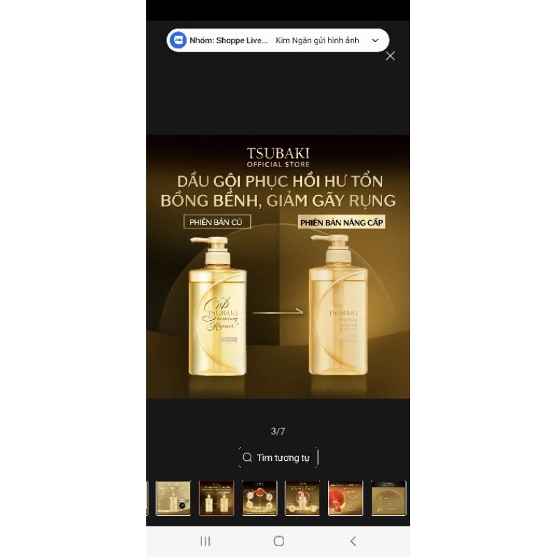 Dầu , xả tsubaki