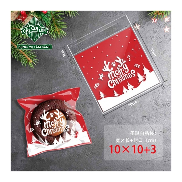 TÚI DÁN NOEL 10X10CM