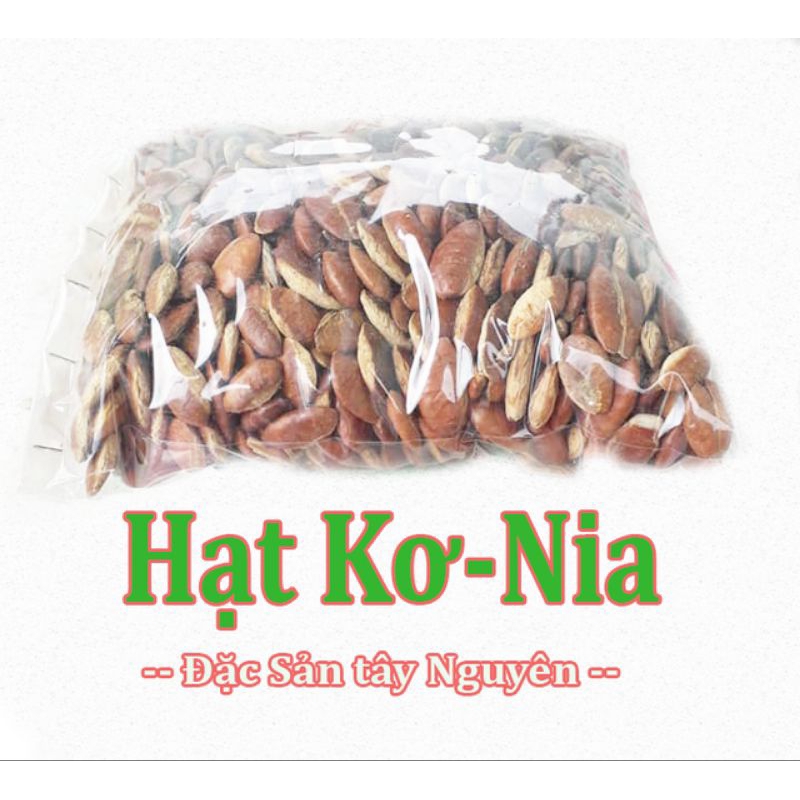 Hạt kơ nia chọn kỹ 500gr, hạt konia