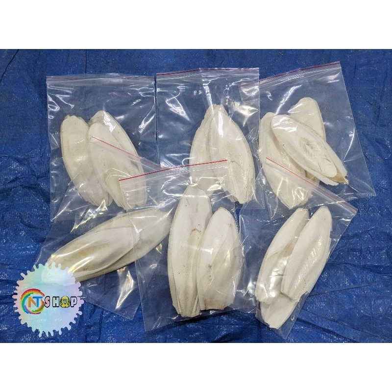100GR NANG MỰC (MAI MỰC) BỔ SUNG CANXI CHO CHIM VẸT, YẾN PHỤNG, LOVEBIRD,...