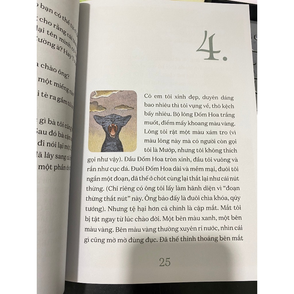 Truyện  - Làm mèo