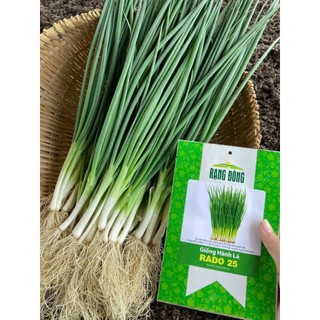 Hạt giống hành lá Rạng Đông