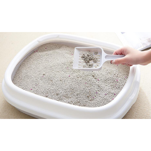 TẢI Cát vệ sinh đất sét cho Mèo Catchy 6 hương Cà phê,Bạc Hà,Hoa Hồng,Nước Lạnh,Đào,Xà vón cục tốt MEGAPACK