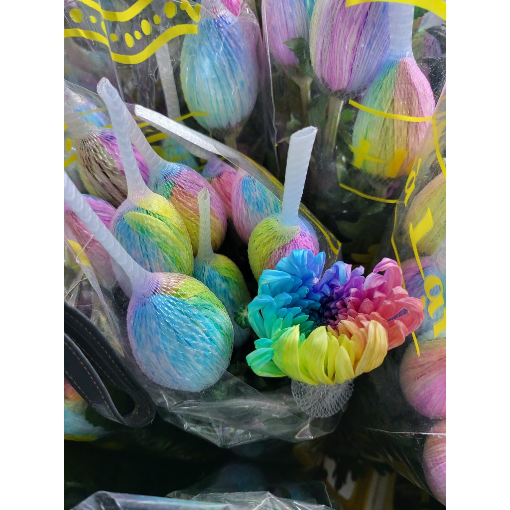 Bột nhuộm hoa tươi 2K hủ 100gram pha 10 -12L nước, thuốc nhuộm chuyên cho mọi loại hoa, màu nhuộm hoa, bột chuyên nhuộm