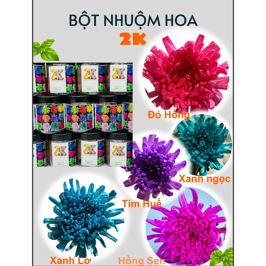 Bột nhuộm hoa tươi 2K hủ 100gram pha 10 -12L nước, thuốc nhuộm chuyên cho mọi loại hoa, màu nhuộm hoa, bột chuyên nhuộm