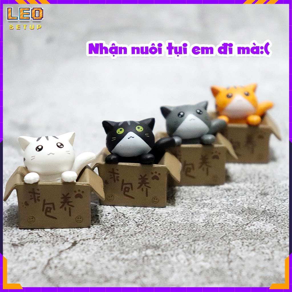 Mô hình mèo trong hộp, figure mini decor bàn học bàn làm việc, xe hơi trang trí nhà cửa tiểu cảnh mini terrarium