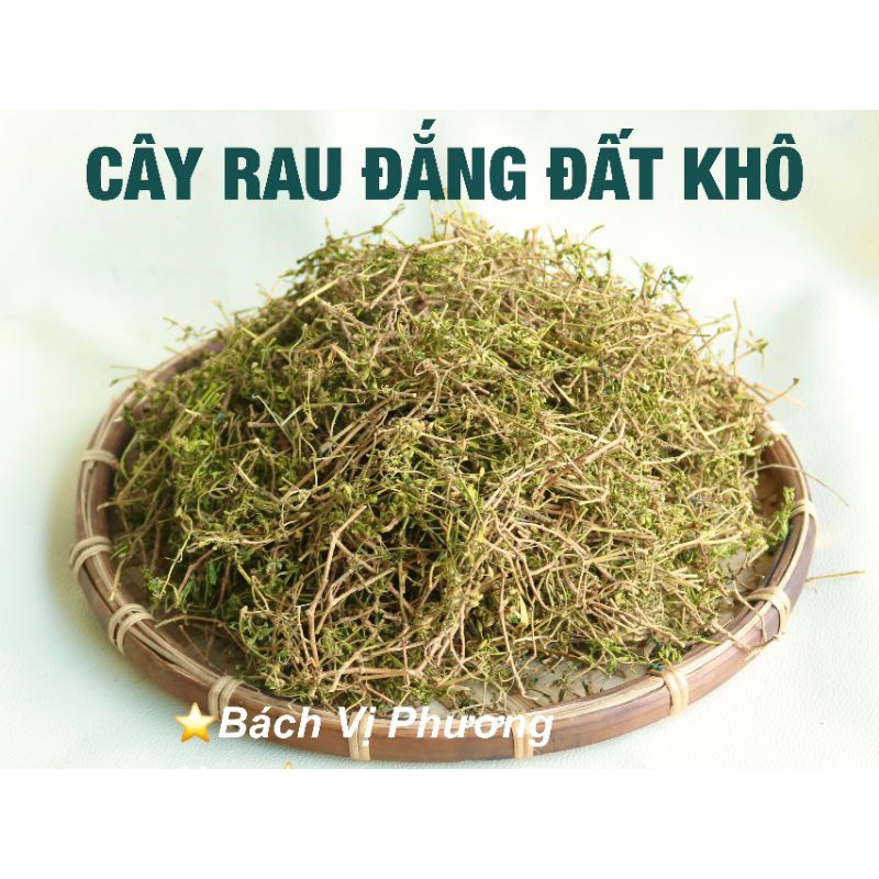 Cây Rau Đắng Đất Khô 1kg- Bách Vị Phương Nam