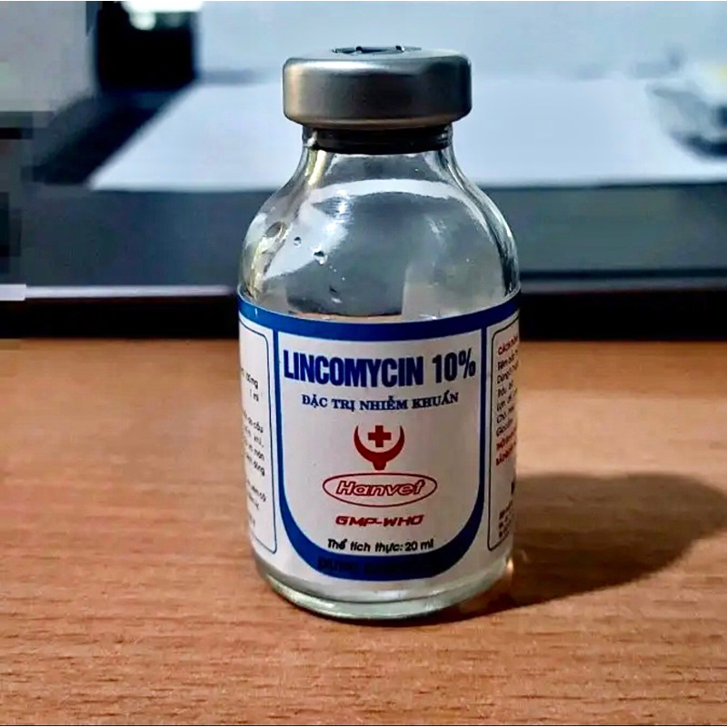 Lincomycin 10% 20ml tiêu kén, viêm khớp, hen suyễn cho gà