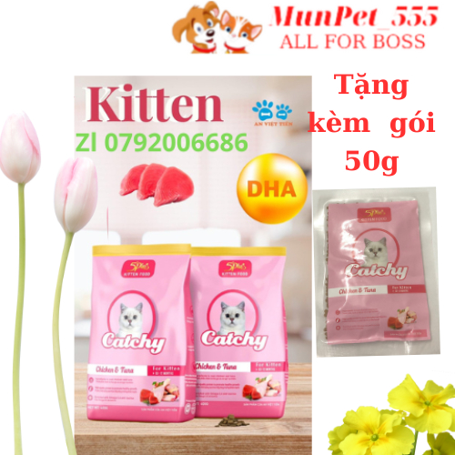 Hạt Catchy Kitten Cho Mèo Con Vị Gà và Cá Ngừ Vnshopet