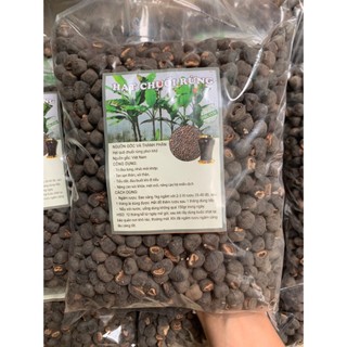 Hạt chuối cô đơn, chuối cô đơn, hạt chuối mồ côi, sỏi thận, lợi tiểu, đau lưng, đau xương khớp