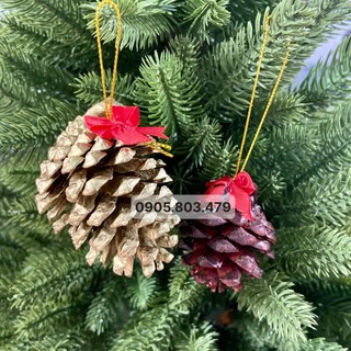 Set 10 quả thông nâu, thông nhũ vàng, thông khô treo cây thông noel, trang trí giáng sinh, decor chụp ảnh