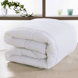 Ruột chăn cao cấp ruột chăn đông loại 1 bông sơ trắng sạch kháng khuẩn