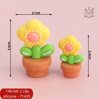 Kute set 2 chậu hoa mini