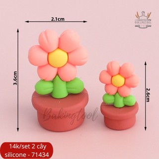 Kute set 2 chậu hoa mini