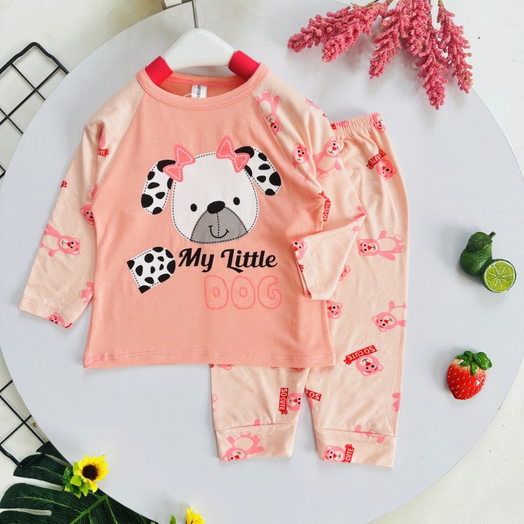 Bộ quần áo thu đông, mặc điều hòa, dài tay, chất thun lạnh cho bé trai, bé gái BD1111