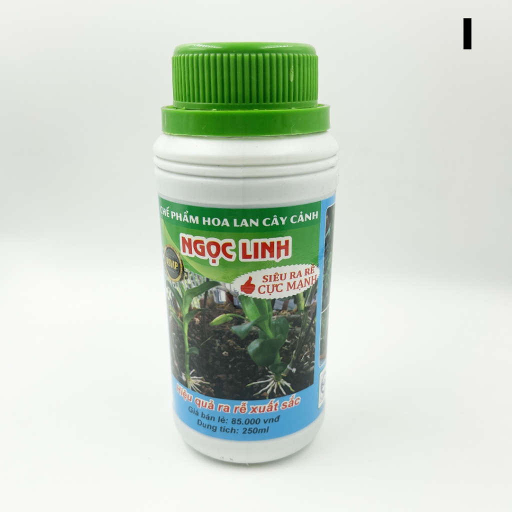 Kích rễ lan , bonsai , cây cảnh , cành giâm chiết A9 NGỌC LINH 250ml